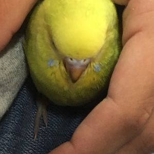 Meet your Posher, Angie